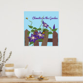 Clematis-Rebe im Garten Poster (Küche)