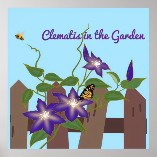 Clematis-Rebe im Garten Poster (Vorne)