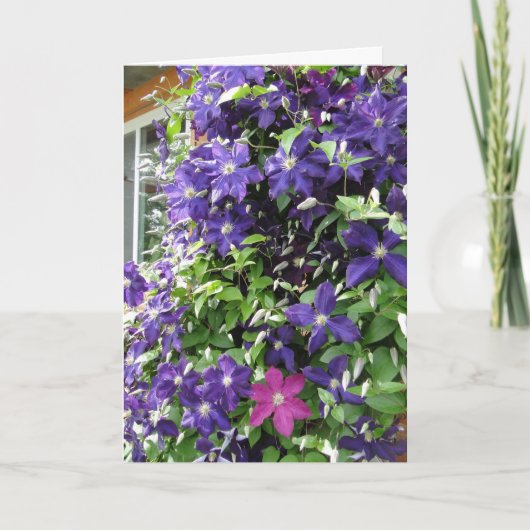 Clematis-Rebe, inspirierend Karte (Vorderseite)