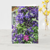 Clematis-Rebe, inspirierend Karte (Gelbe Blume)