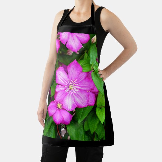 Clematis Schürze (InSitu)