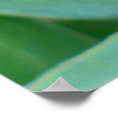 Clematis Seed Head Poster (Ecke)