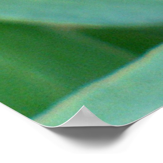 Clematis Seed Head Poster (Ecke)