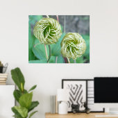 Clematis Seed Head Poster (Heimbüro)