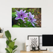Clematis Spring Poster (Heimbüro)