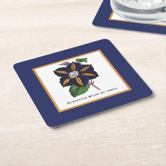 Clematis Star of India Botanische Illustration Rechteckiger Pappuntersetzer (angewinkelt)