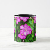 Clematis Tasse (Zentrum)