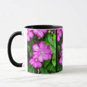 Clematis Tasse (Links)