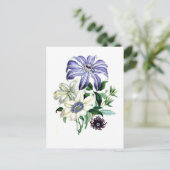 Clematis von Jane Loudon Postkarte (Stehend Vorderseite)