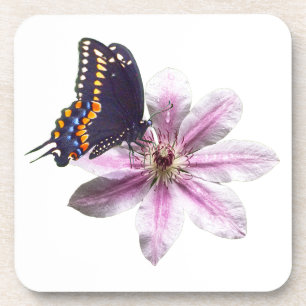 Clematischer Blume und Schmetterling aus schwarzem Getränkeuntersetzer