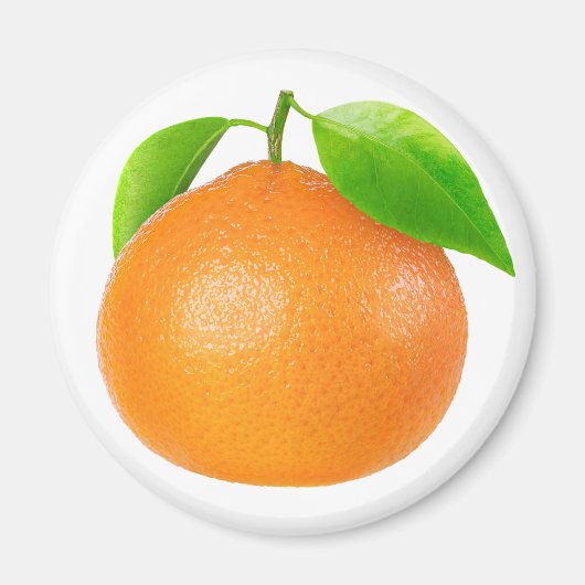 Clementine Magnet (Vorne)