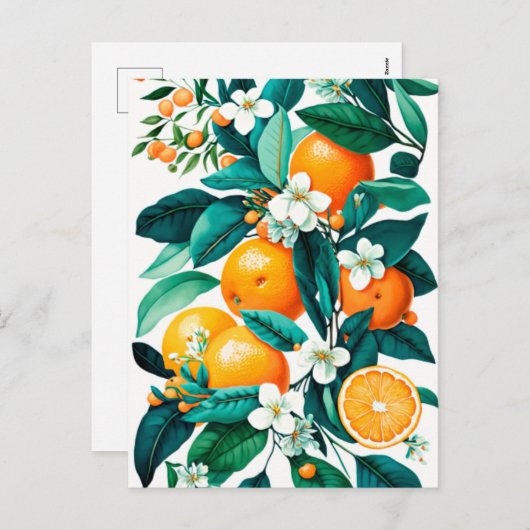 Clementine Mandarine Feiertagspostkarte (Vorne/Hinten)