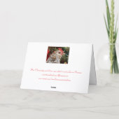 Clementines Weihnachtswunsch Feiertagskarte (Rückseite)