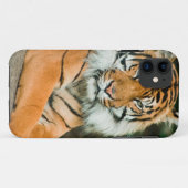 Clemson-Tiger-Fußball-Zellen-Telefon-Hüllen und Case-Mate iPhone Hülle (Rückseite (Horizontal))