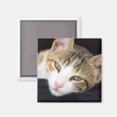 Cleo Cat Magnet (Vorderseite/Rückseite)