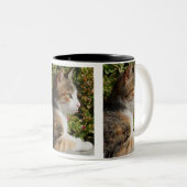 Cleo Cat Tasse (VorderseiteRechts)