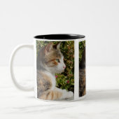 Cleo Cat Tasse (Links)