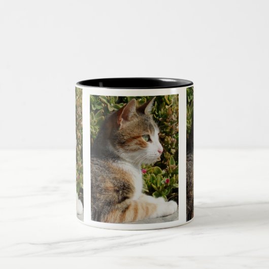 Cleo Cat Tasse (Mittel)