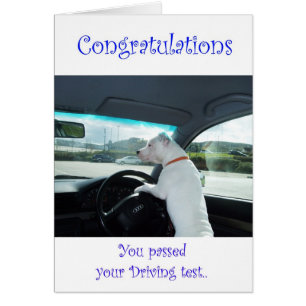 Cleo führte Fahrprüfung