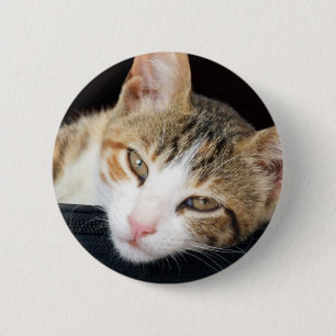 Cleo Katzen-Knopf Button