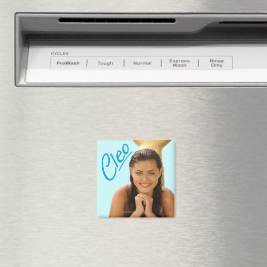 Cleo Magnet (In Situ (Geschirrspüler))