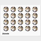 Cleo Stickers (Blatt)