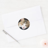 Cleo Stickers (Umschlag)