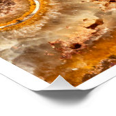 Cleoniceras Ammonite Fossil Wall Art Nature Print Poster (Ecke)