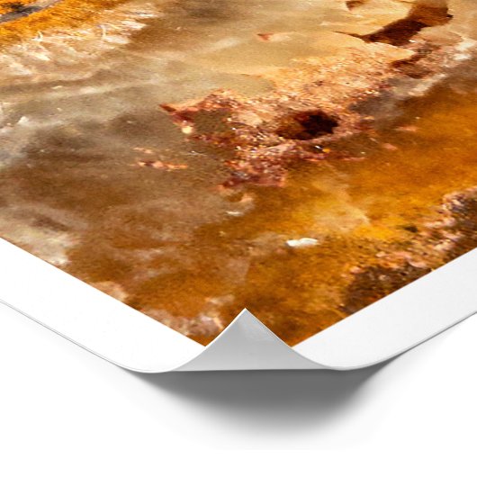 Cleoniceras Poster (Ecke)