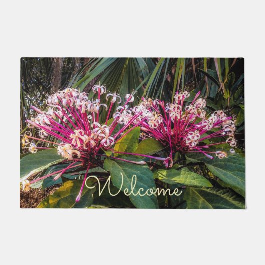 Clerodendrum Sternexplosion Blume Door Mat Fußmatte (Vorderseite)