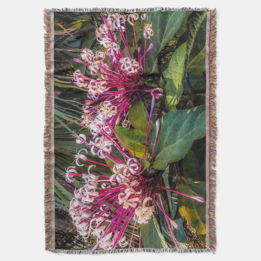 Clerodendrum Sternexplosion Blume Throw Blanket Decke (Vorderseite Vertikal)