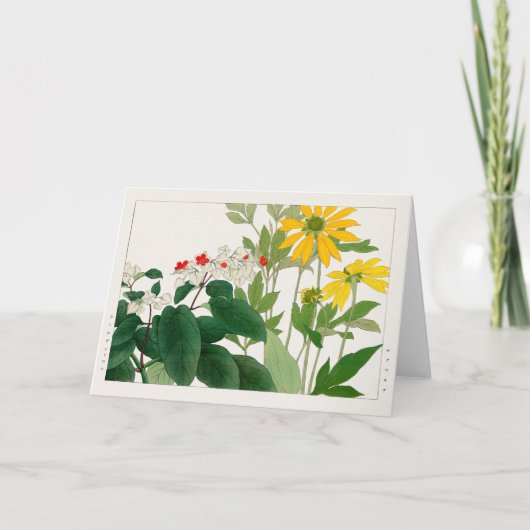 Clerodendrum thomsoniae, Rudbeckia, Tanigami Konan Karte (Vorderseite)