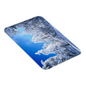 Cleveland National Forest Magnet (Rechte Seite)