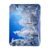 Cleveland National Forest Magnet (Vertikal)