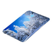 Cleveland National Forest Magnet (Linke Seite)