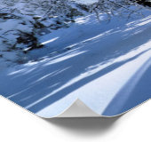 Cleveland National Forest Poster (Ecke)