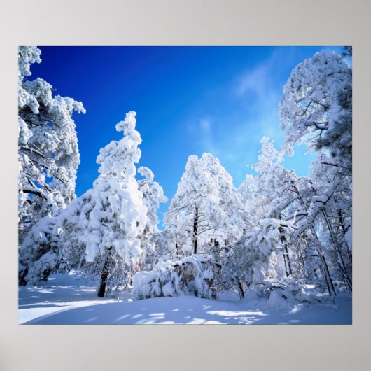 Cleveland National Forest Poster (Vorne)