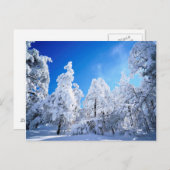 Cleveland National Forest Postkarte (Vorne/Hinten)