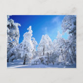 Cleveland National Forest Postkarte (Vorderseite)