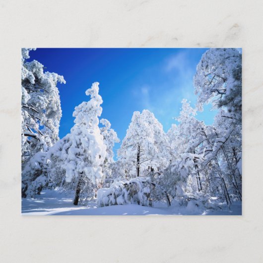 Cleveland National Forest Postkarte (Vorderseite)