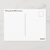 "Cleveland, Ohio Landscape" Postkarte (Rückseite)