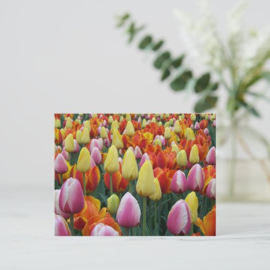 Cleveland, Ohio Postkarte (Stehend Vorderseite)