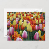 Cleveland, Ohio Postkarte (Vorne/Hinten)