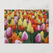 Cleveland, Ohio Postkarte (Vorderseite)