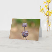 Cleveland Sage Karte (Gelbe Blume)