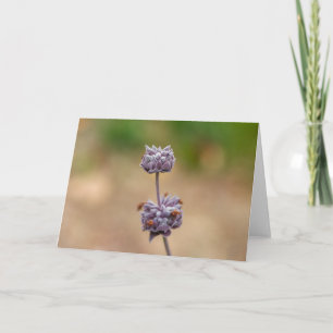 Cleveland Sage Karte