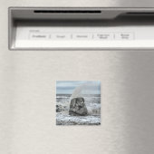 Cleveleys Ogre Magnet (In Situ (Geschirrspüler))