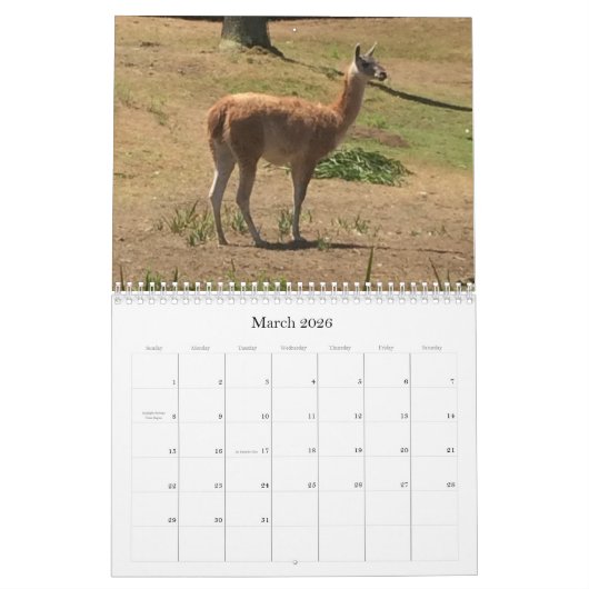 Clever Animals Kalender (Mär 2026)