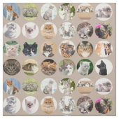 Clever Cats Fabric Stoff (Muster)
