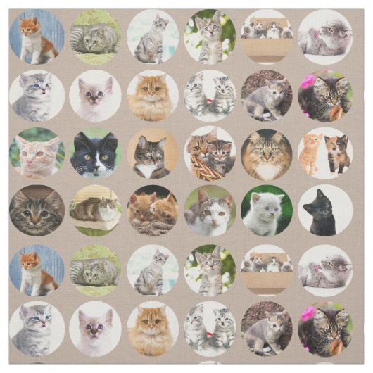 Clever Cats Fabric Stoff (Muster)